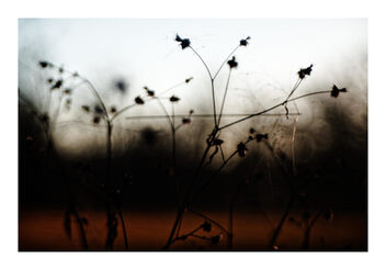 afternoon in the park - image gratuit #503231